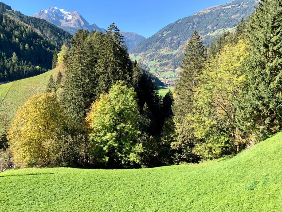 Natur Zeit - Alpine Garden Apartments Mayrhofen Exteriör bild